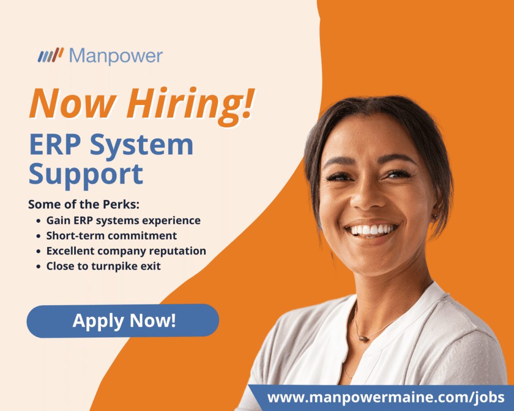 ERP System Support