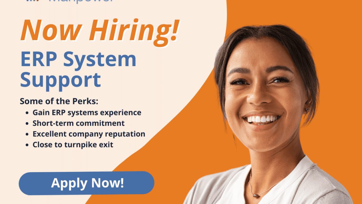 ERP System Support