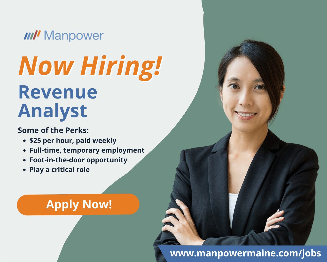 Revenue Analyst