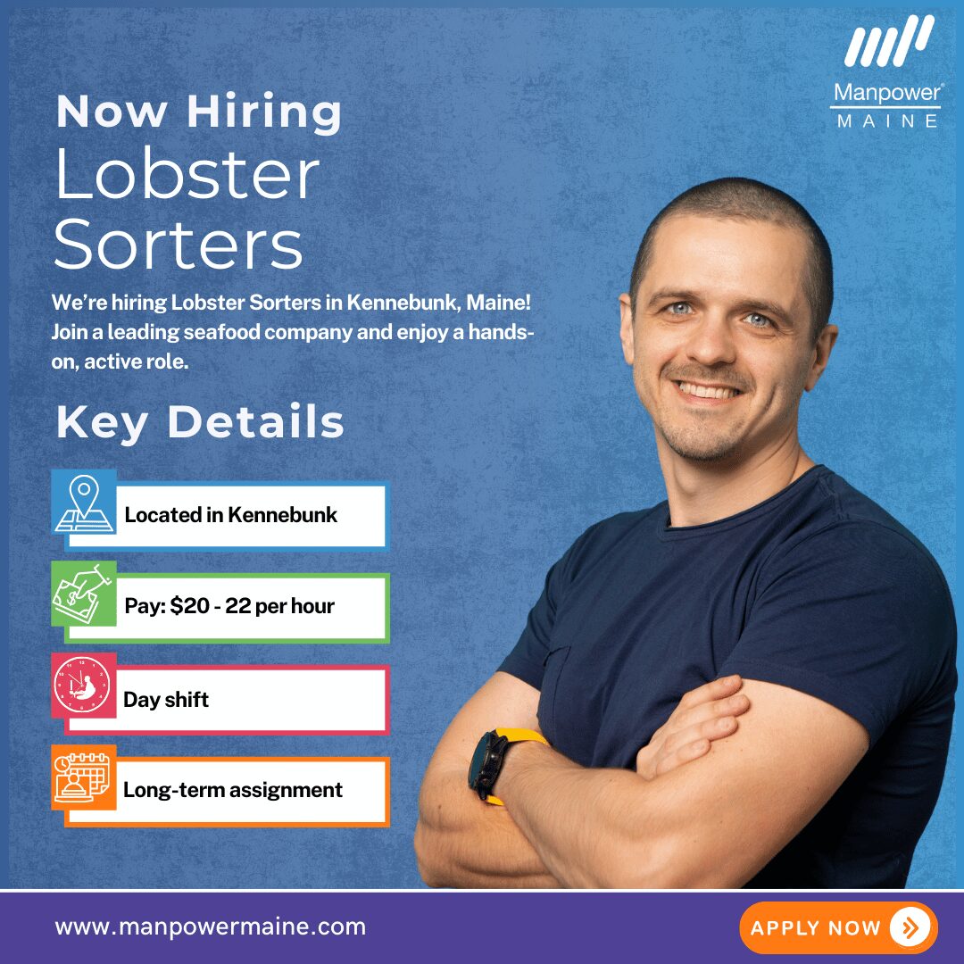 Lobster Sorters - Kennebunk Web